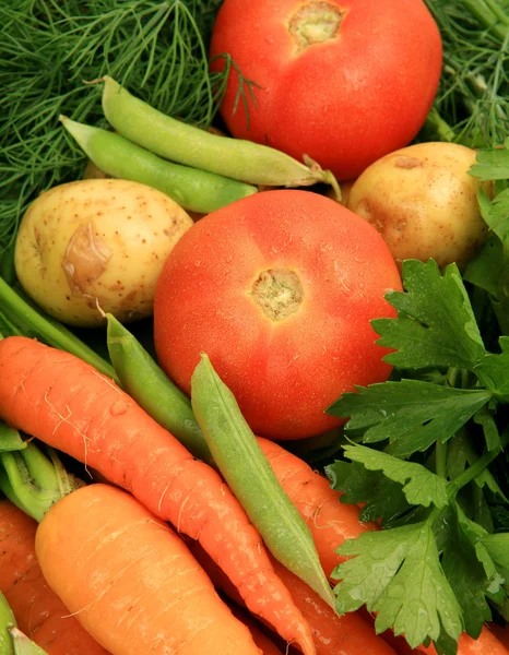 Sayuran segar untuk pakan sehat — Stok Foto