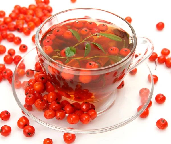 Tea and berries — Stock Photo, Image