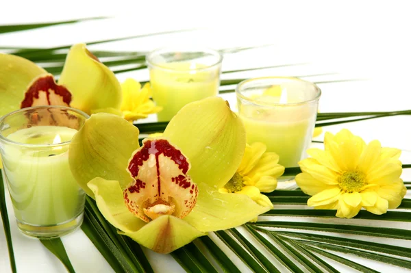 Mooie orchideeën en kaarsen — Stockfoto