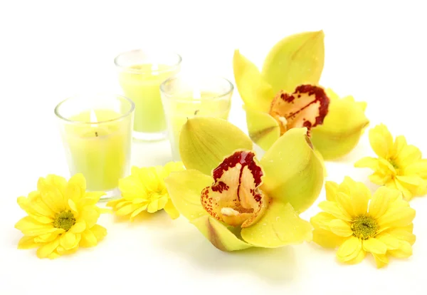 Orquídeas finas e velas — Fotografia de Stock
