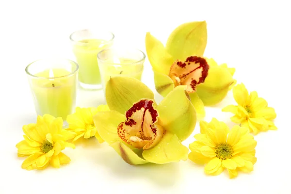 노란 난초와 촛불 — 스톡 사진