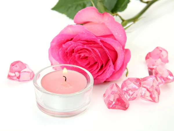 Rosa rosa e candela — Foto Stock