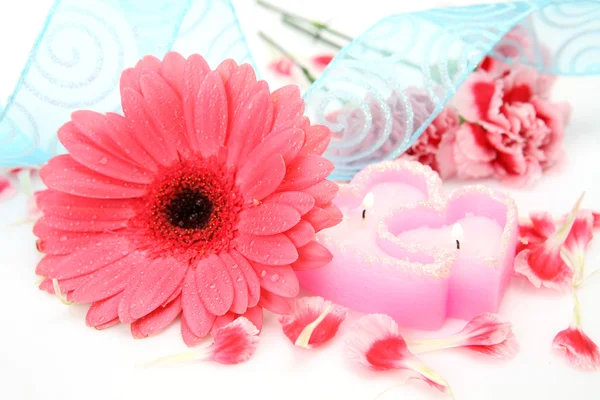 Flower and candles Stock Picture