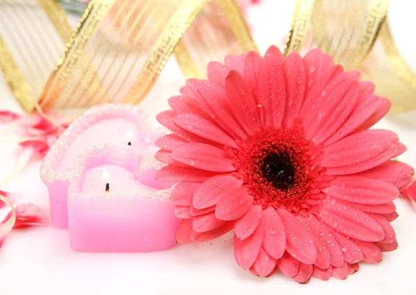 Flower and candles Stock Image