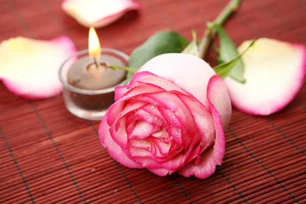 Rosa Rose und Kerze — Stockfoto