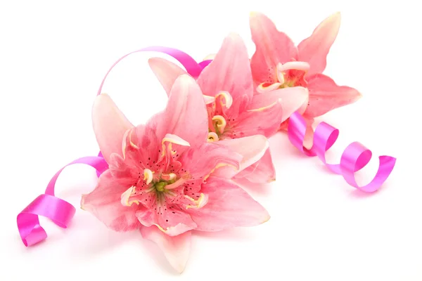 Rosa Lilien und Luftschlange — Stockfoto