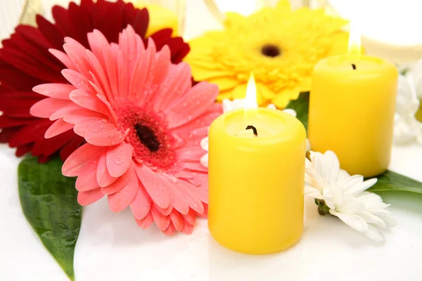 Blommor och ljus — Stockfoto