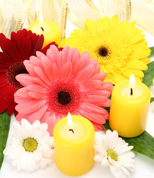 Flowers and candles Royalty Free Stock Photos