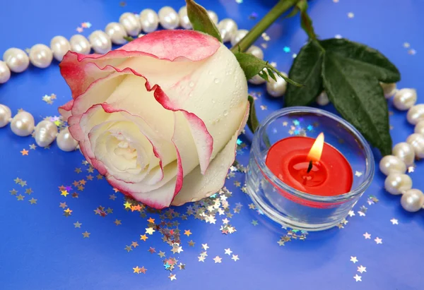 Finom rózsa és gyöngy — Stock Fotó