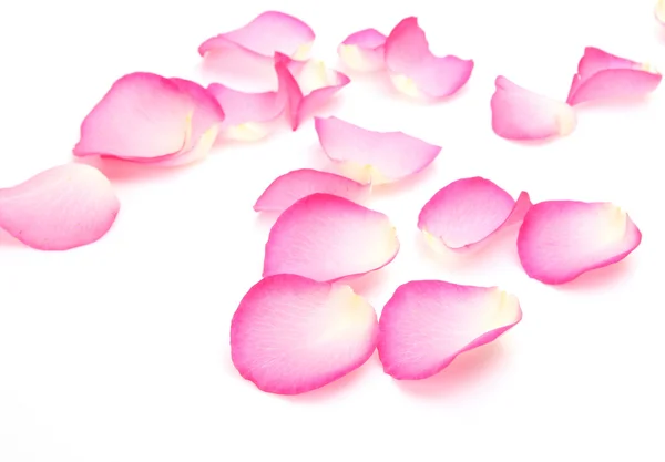 Pétalas de rosas — Fotografia de Stock