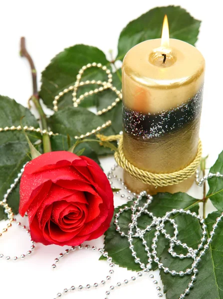 stock image Fine rose and candle