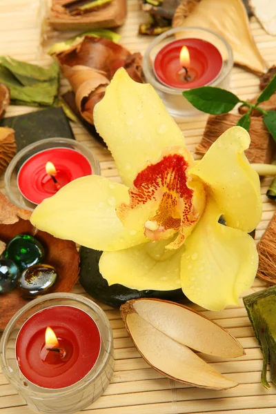Gul orkidé och ljus — Stockfoto