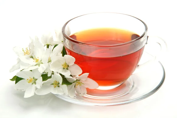 Te och blomma — Stockfoto