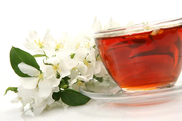茶和花 — 图库照片