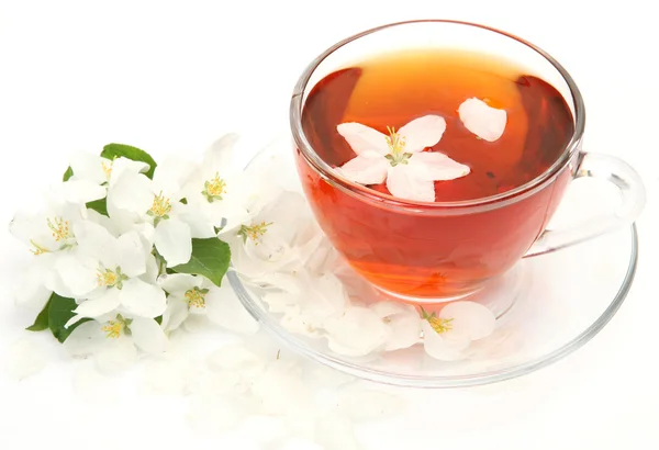 Çay ve çiçek — Stok fotoğraf