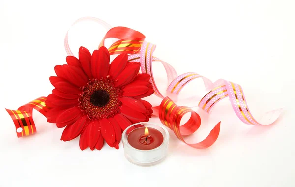 stock image Flower and streamer