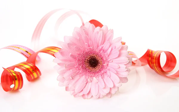Flower and streamer — Stock Photo, Image