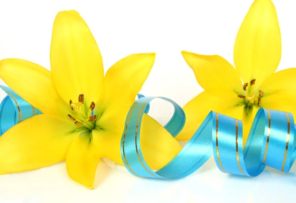 Yellow lily and streamer — Stock Photo, Image