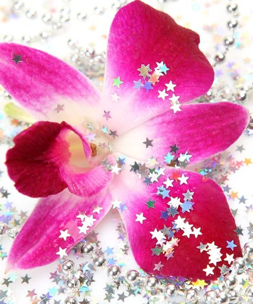 Orquídea rosa Imágenes De Stock Sin Royalties Gratis