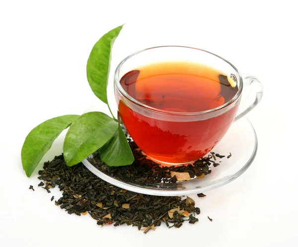 Té y hoja verde — Foto de Stock