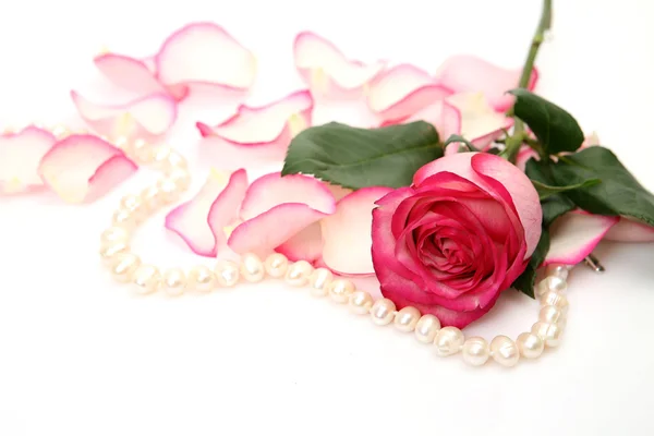 Rose und Perlen — Stockfoto