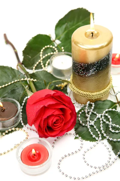 Прекрасна троянда і свічки — стокове фото