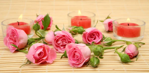 Rosa rosor och brinnande ljus — Stockfoto
