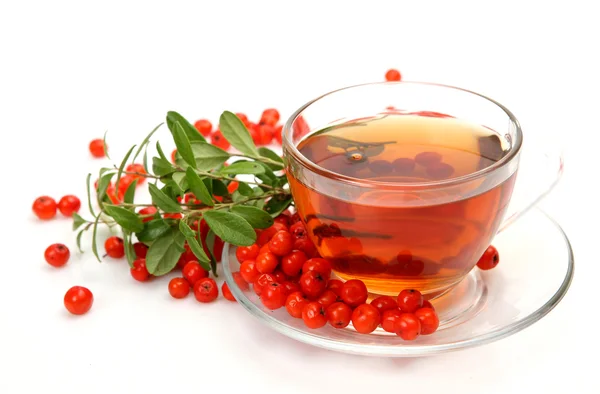 Tea and berries — Stock Photo, Image