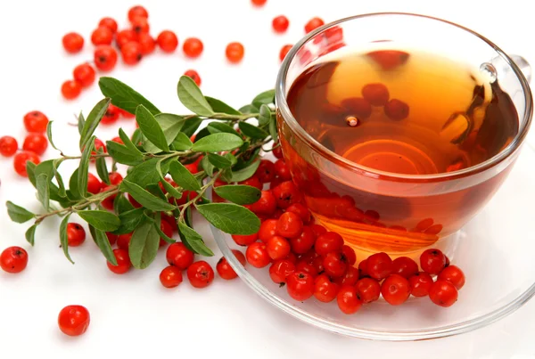 Tea and berries — Stock Photo, Image