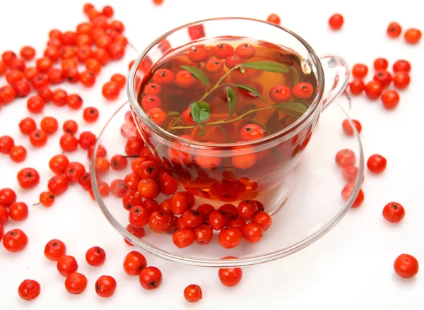 stock image Tea and berries