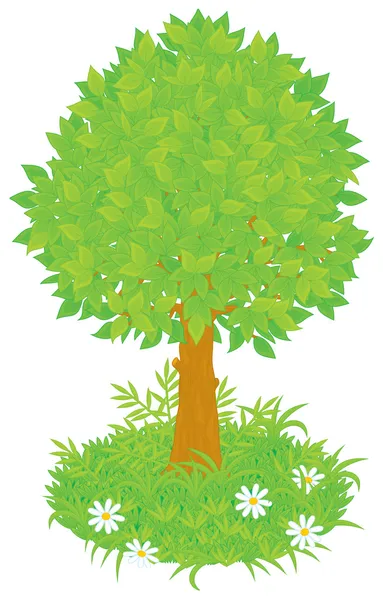 Φύλλωμα δέντρο — Διανυσματικό Αρχείο