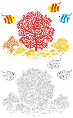 Corals and fishes clipart