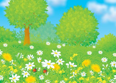 Field with flowers clipart