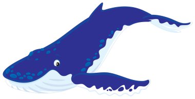 Hump-backed whale clipart
