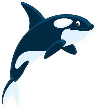 Killer whale clipart