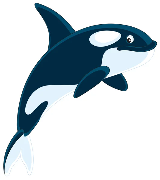 キラークジラ — ストックベクタ