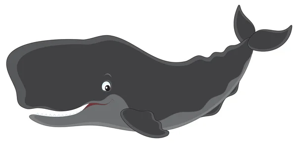 Ispermeçet balinası — Stok Vektör