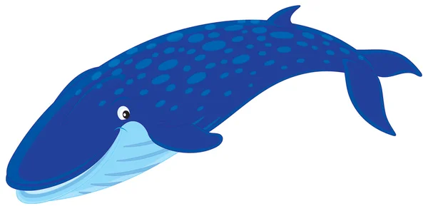 Блакитного кита — стоковий вектор
