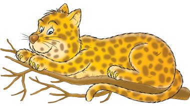 Lynx animal clipart