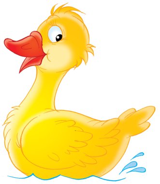 Swimming yellow duck clipart