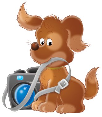 köpek yavrusu fotoğrafçı