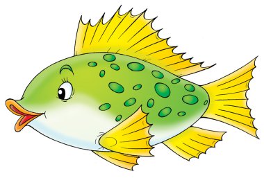 Spotted Fish clipart