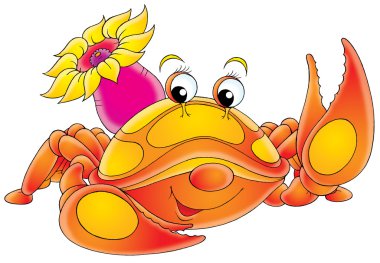 Red crab actinia clipart