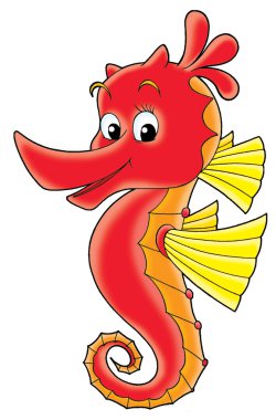 Sea horse clipart