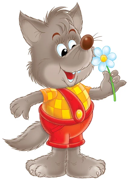 Fox with flower — Stock Photo, Image