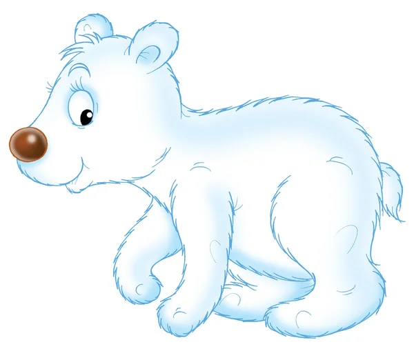 흰 곰 — 스톡 사진