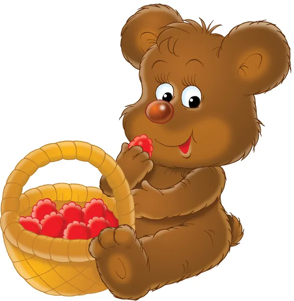 Niedźwiedź jeść malin — Zdjęcie stockowe