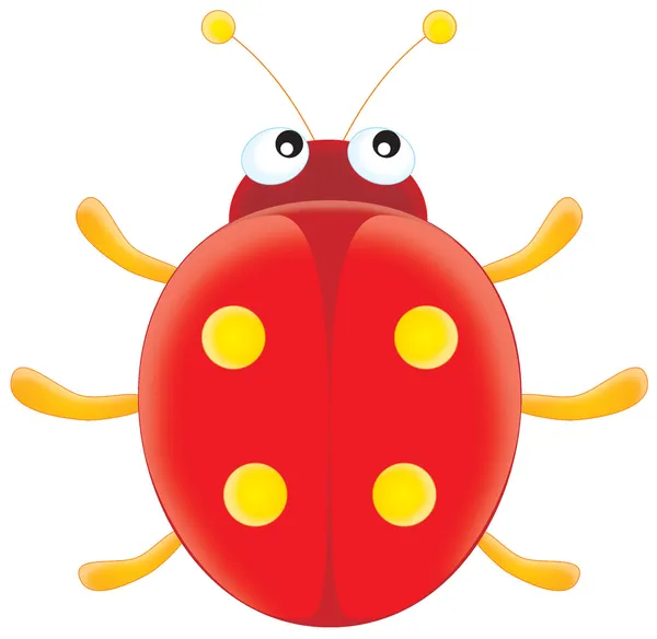Red ladybird — Stock Photo, Image