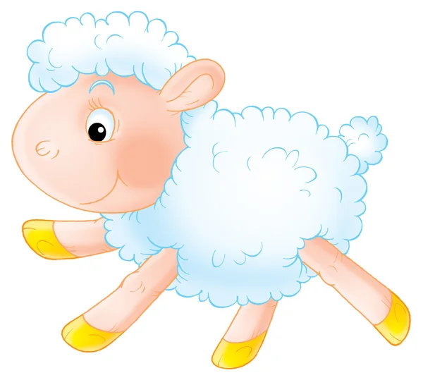 Baby lamb — Stock Photo, Image
