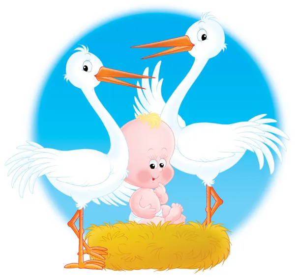 Storkar och baby — Stockfoto